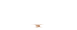 IntelSchool - Smart School Management System